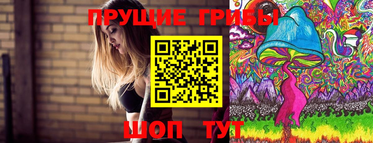 Псилоцибиновые грибы мицелий Курск